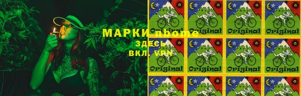 apvp Алзамай