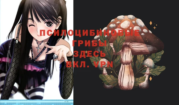 apvp Алзамай